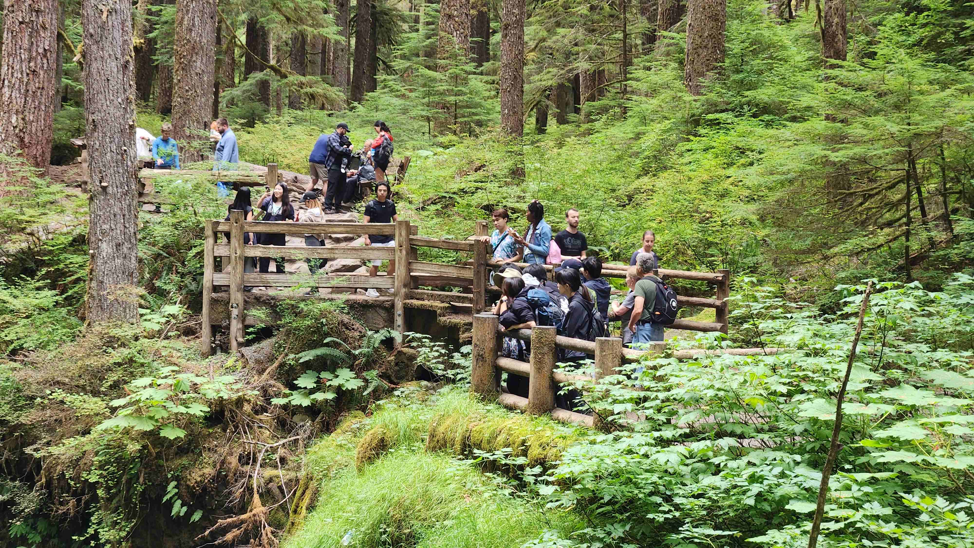 Sol Duc Falls Hike