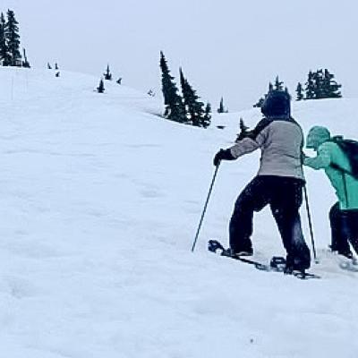 77e7d93b Ef7e 4699 8eed C33e98aa41bb