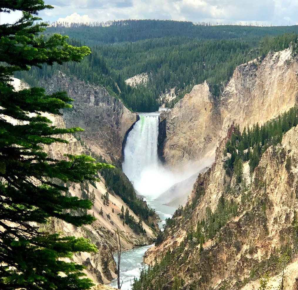 Yellowstone Falls